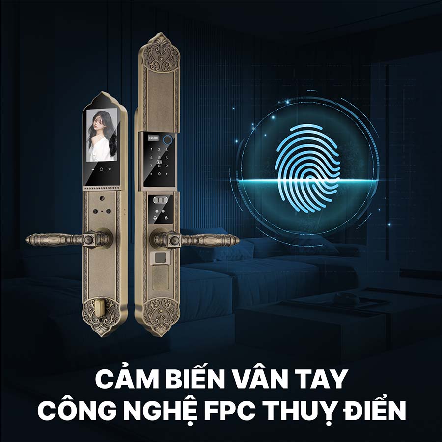 Khóa cửa điện tử Hyundai đại sảnh HY-SLC8817 Bronze