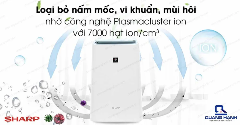 Máy hút ẩm Sharp DW 16FAW loại bỏ mùi hôi, vi khuẩn, nấm mốc nhờ công nghệ Plasmacluster ion.