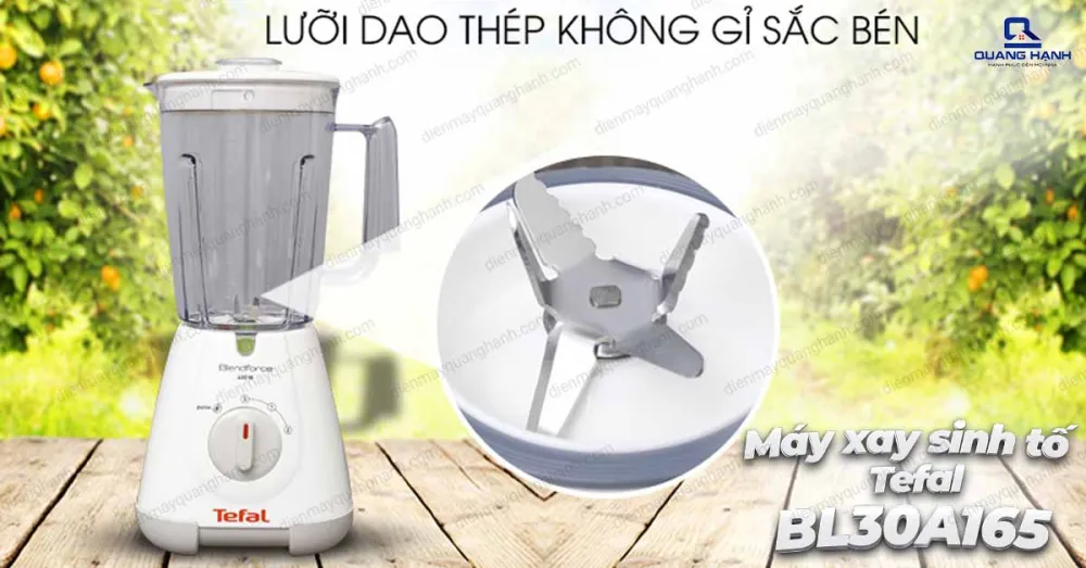 Máy xay sinh tố Tefal BL30A165