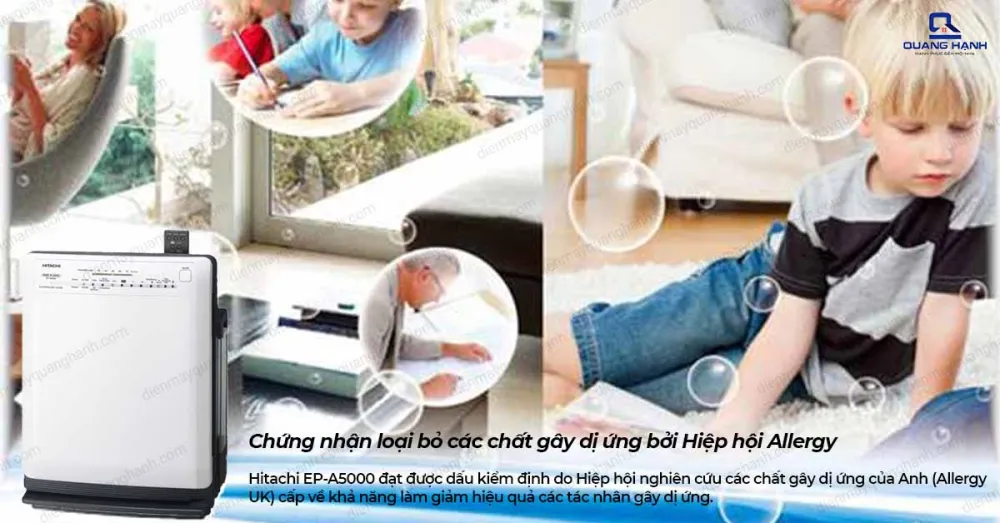 Máy lọc không khí Hitachi EP-A5000
