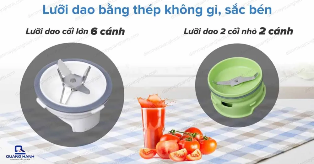 Máy xay sinh tố Tefal BL317166