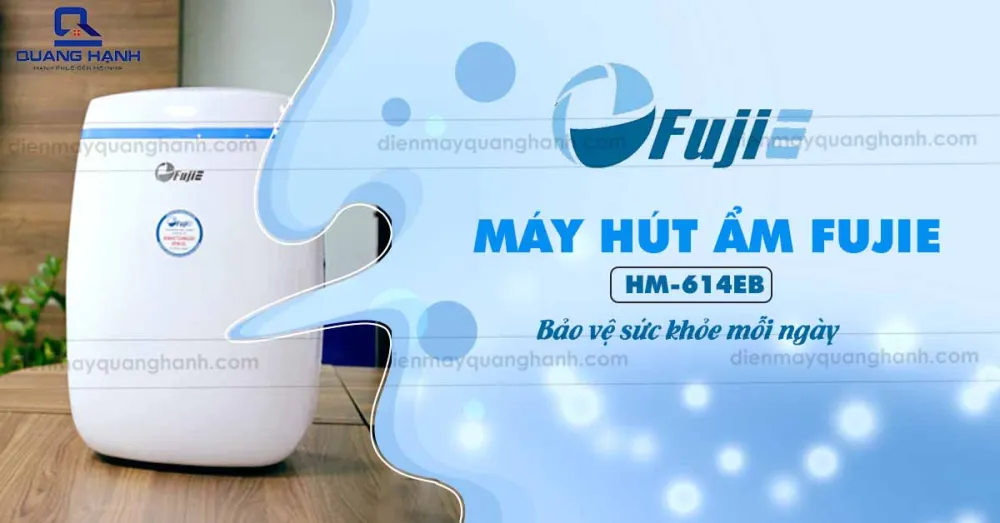 Sử dụng máy hút ẩm Fujie HM-614EB để bảo vệ gia đình khỏi những tác nhân xấu có trong không khí
