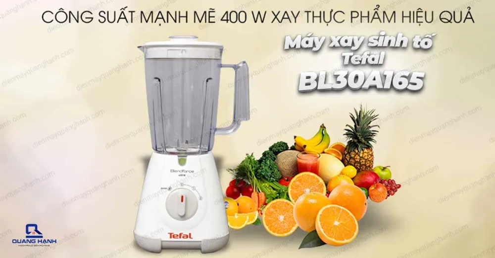 Máy xay sinh tố Tefal BL30A165