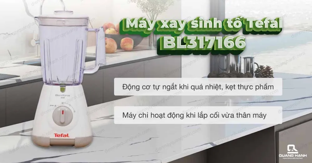 Máy xay sinh tố Tefal BL317166