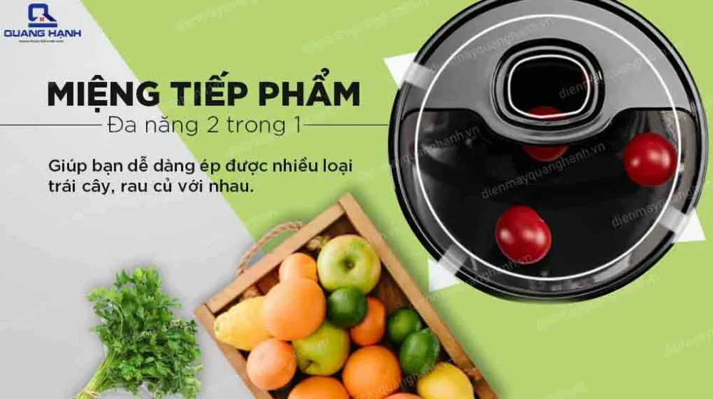 Máy ép trái cây Hurom H-100-DBEA01 - 150W