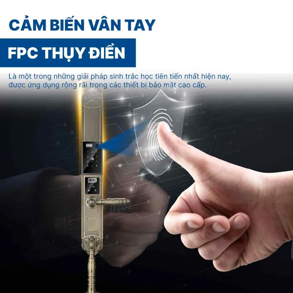 Khoá điện tử Hyundai đại sảnh HY-SLC8818 Bronze