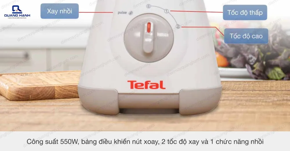 Máy xay sinh tố Tefal BL317166