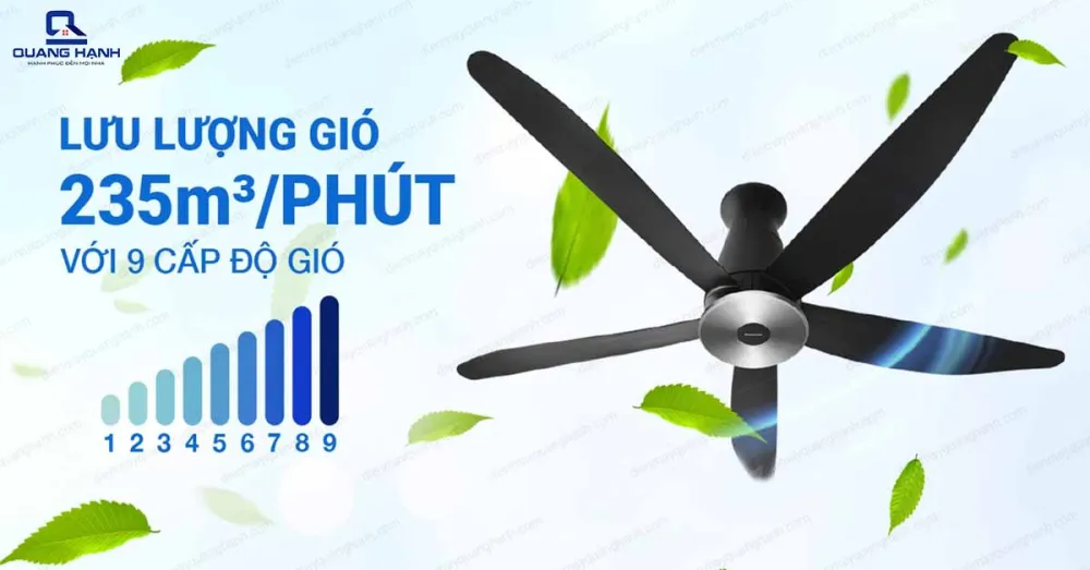 Quạt trần Panasonic F-60XDN (2 màu đen, trắng)