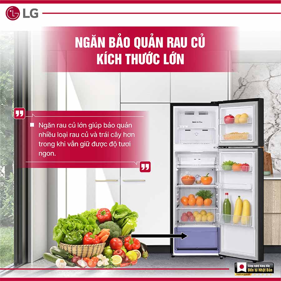 Tủ lạnh LG Inverter 266 lít LTB26BLM