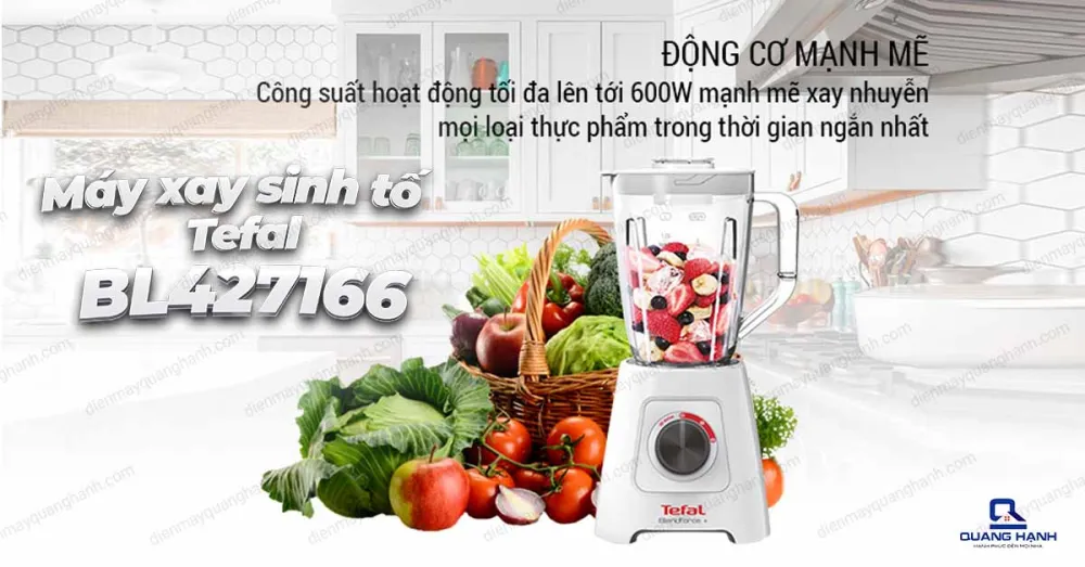 Máy xay sinh tố Tefal BL427166