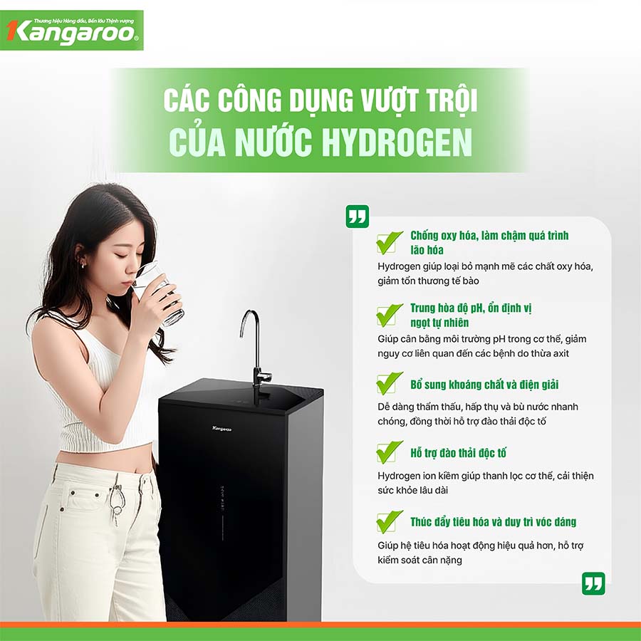 Máy lọc nước Kangaroo Hydrogen KGHP10V4