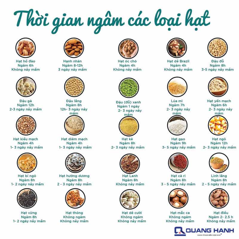 cách làm sữa hạt bằng máy xay sinh tố