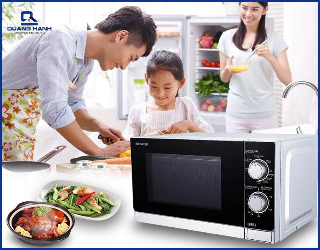 Tổng quan về lò vi sóng
