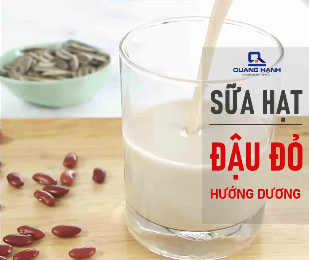 Sữa đậu đỏ, hướng dương