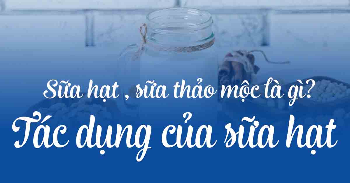 Sữa hạt là gì? Sữa thảo mộc là gì? Tác dụng sữa hạt đối với sức khỏe