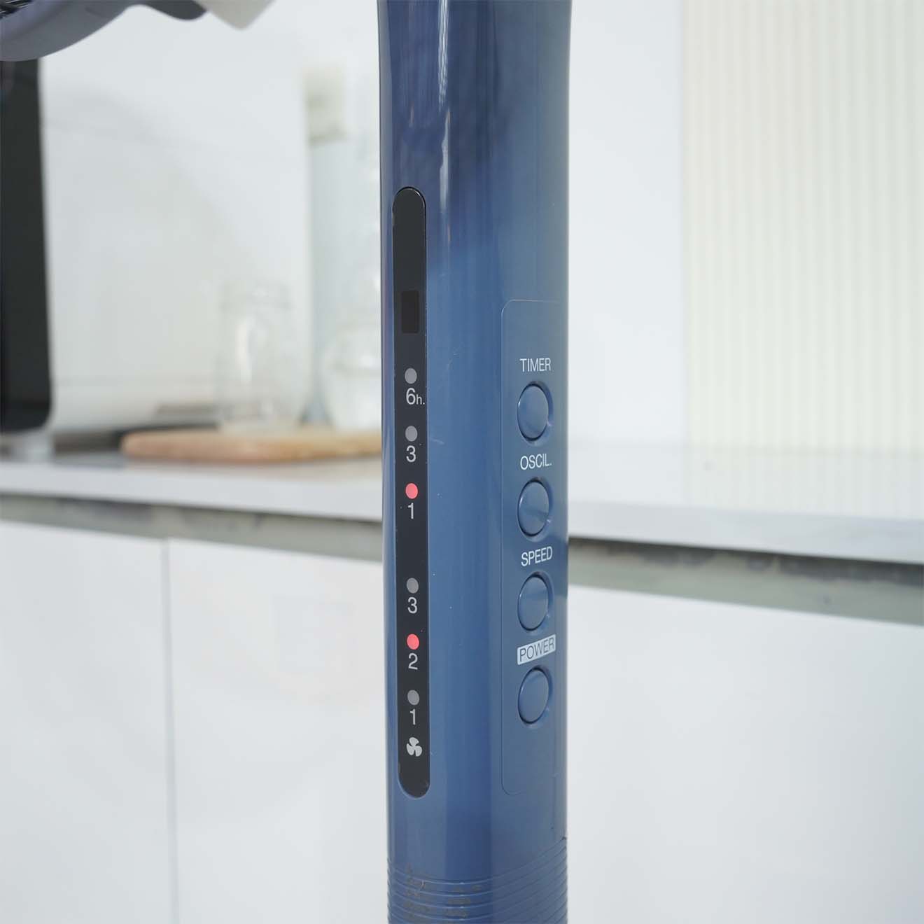 Ảnh thực tế Quạt đứng Panasonic F-409K có điều khiển