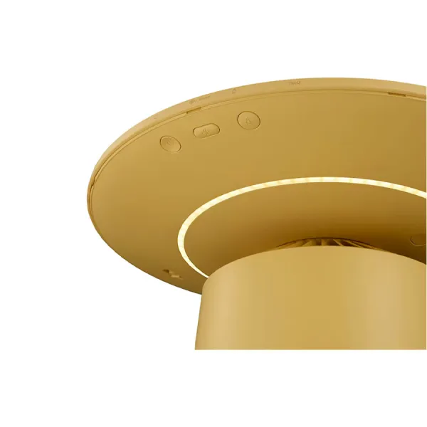 Máy lọc không khí LG PuriCare Aero Furniture AS20GPYU0