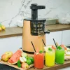 Máy ép chậm Promix SJ-06