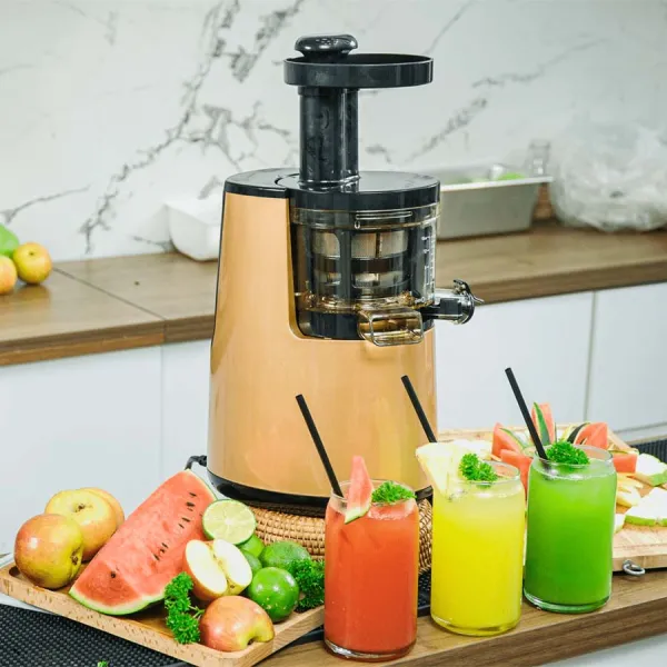Máy ép chậm Promix SJ-06