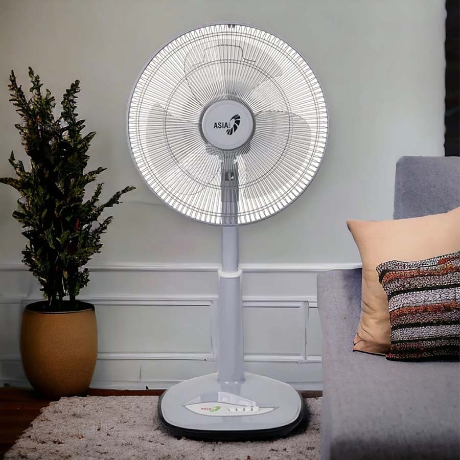 Quạt lửng ASIAVINA VY358792