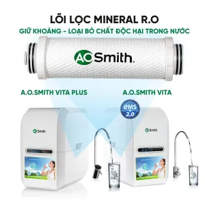 Lõi lọc A.O Smith Mineral RO (VITA/VITA Plus)