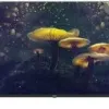 Android Tivi Aqua 43 Inch LE43AQT6620FG