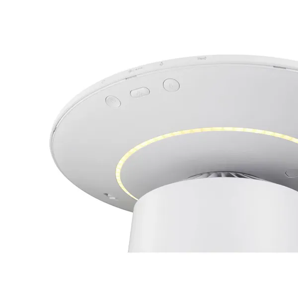 Máy lọc không khí LG PuriCare Aero Furniture AS20GPWU0