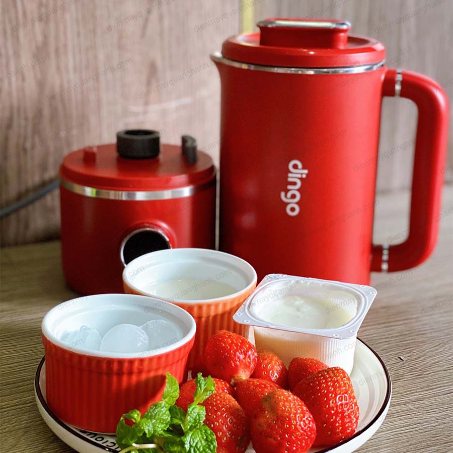 Ảnh thực tế Máy xay nấu đa năng mini Dingo DCB600 kèm ấm pha trà