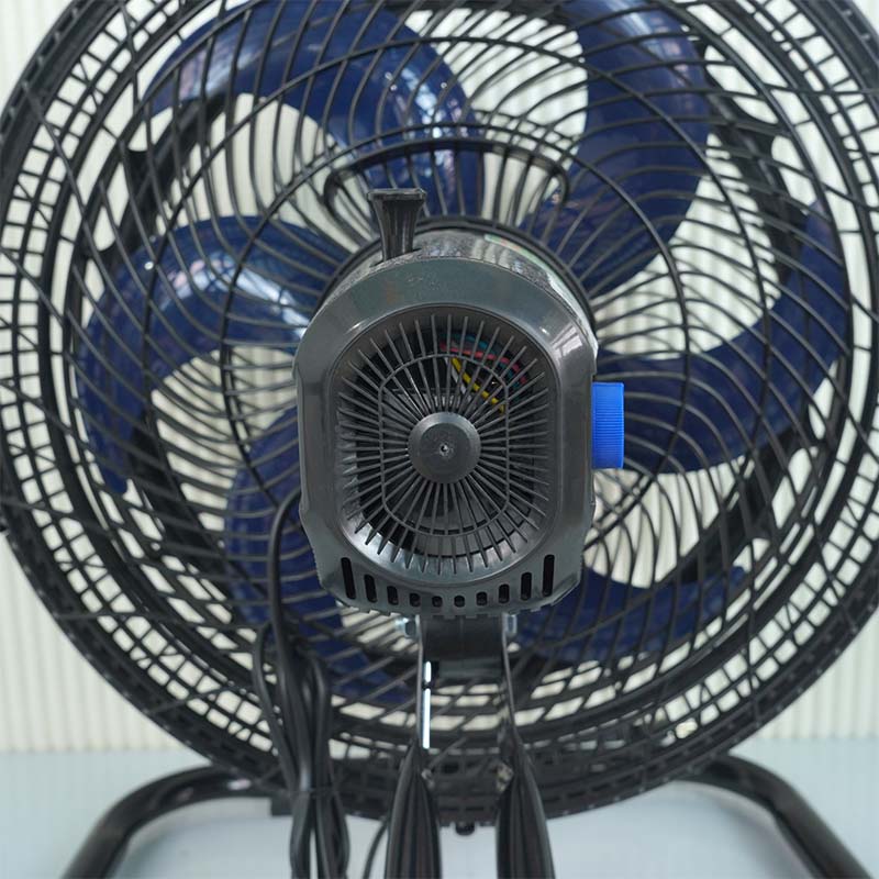 Ảnh thực tế Quạt sàn ASIAVINA Turbo Plus VY636092
