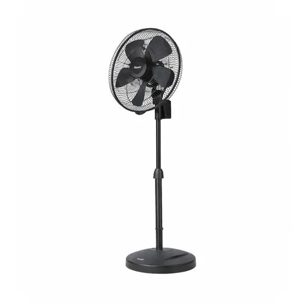 Quạt cây công nghiệp Thái Lan Hatari IP18M1