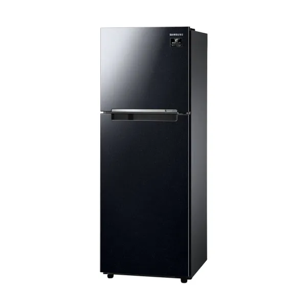 Tủ lạnh Samsung Inverter 236 lít RT22M4032BU/SV