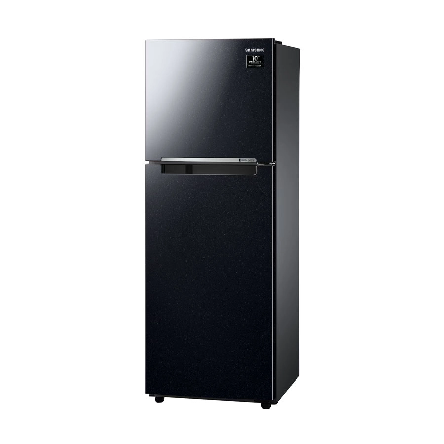 Tủ lạnh Samsung Inverter 236 lít RT22M4032BU/SV