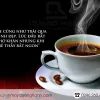 Máy pha cà phê Melitta Caffeo Passione OT Đen