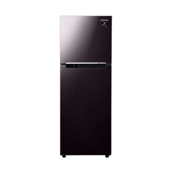 Tủ lạnh Samsung Inverter 236 lít RT22M4032BY/SV