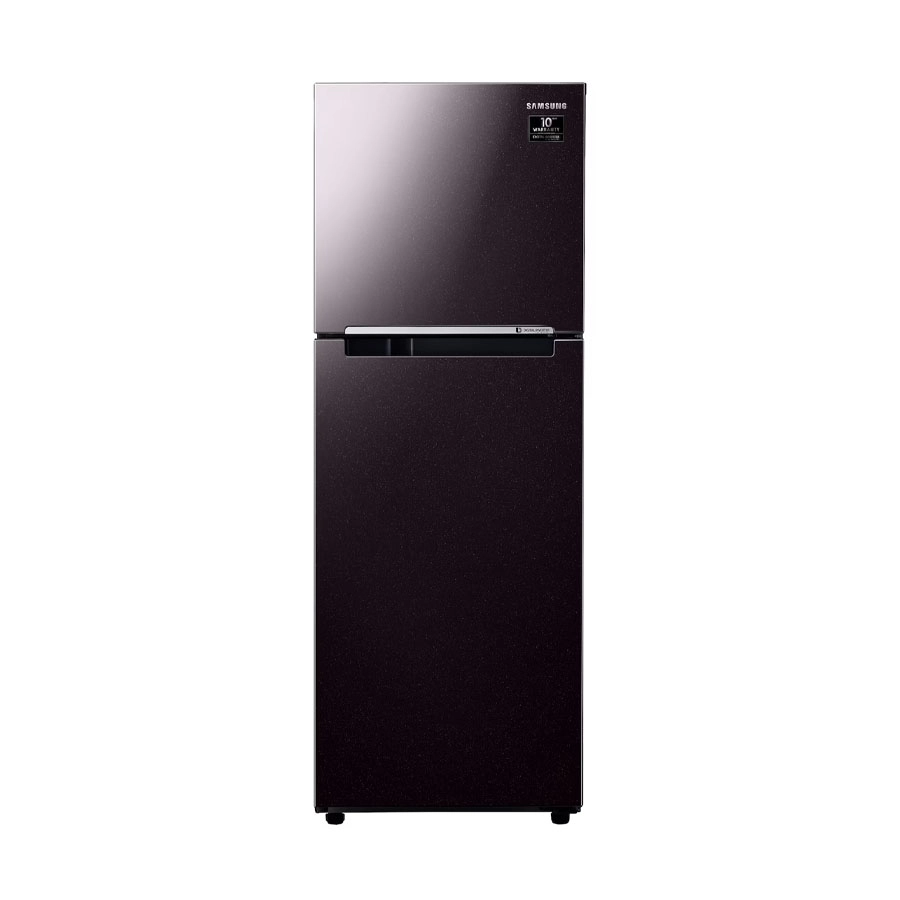 Tủ lạnh Samsung Inverter 236 lít RT22M4032BY/SV