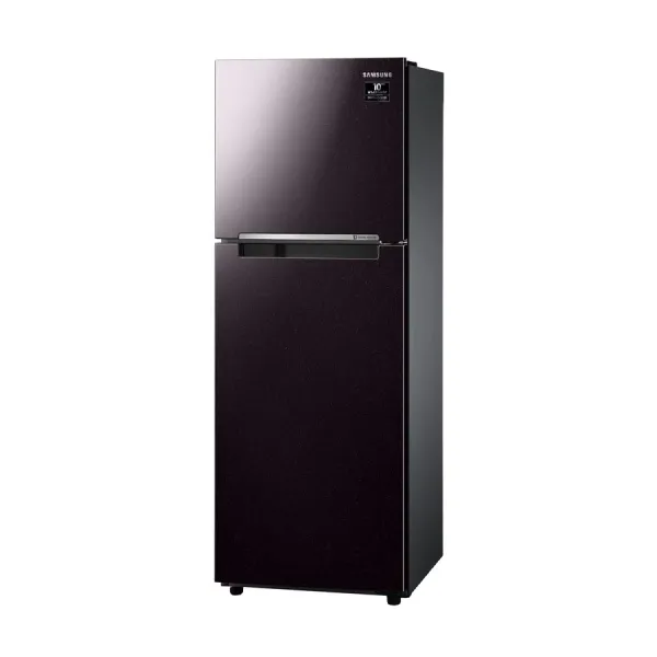 Tủ lạnh Samsung Inverter 236 lít RT22M4032BY/SV