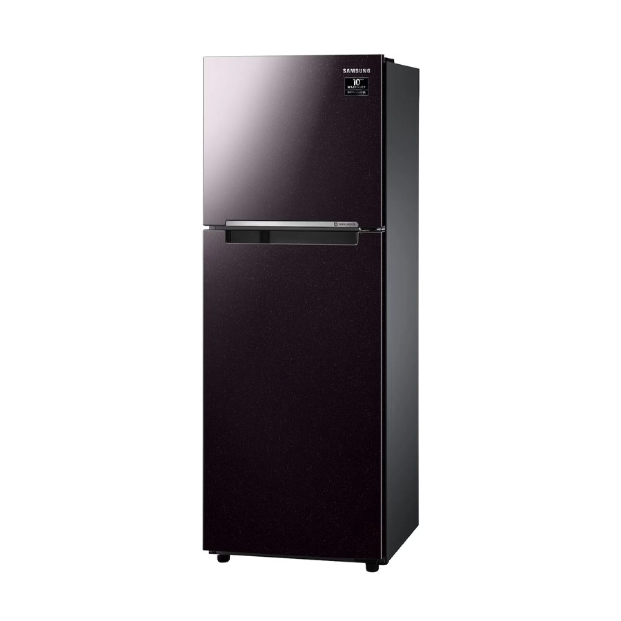 Tủ lạnh Samsung Inverter 236 lít RT22M4032BY/SV
