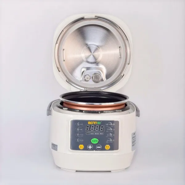 Nồi áp suất điện tử Bennix BN-25P 2.5 lít