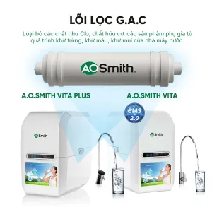 Lõi lọc A.O Smith GAC (VITA/VITA Plus)