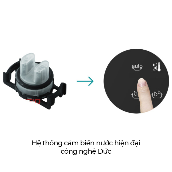 Máy rửa bát Texgio TGWF98SB
