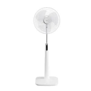 Quạt cây Hatari Thái Lan HF-P18R1 có điều khiển