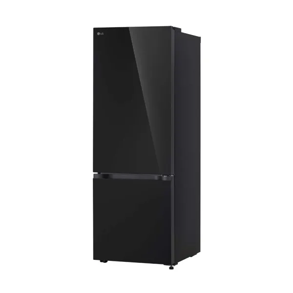 Tủ lạnh LG Inverter 335 lít LBB33BLGA