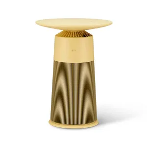 Máy lọc không khí LG PuriCare Aero Furniture AS20GPYU0