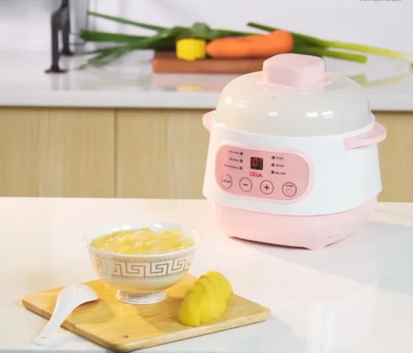 Nồi Nấu Cháo Chậm SEKA GT68
