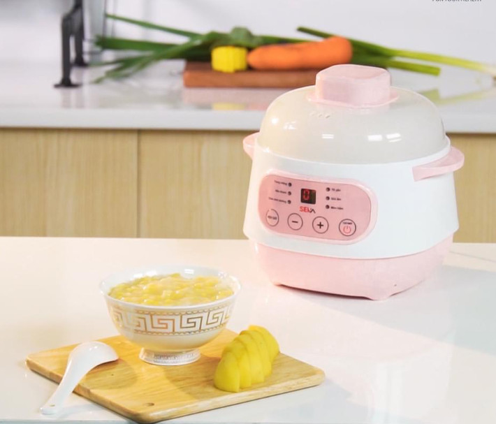 Nồi Nấu Cháo Chậm SEKA GT68