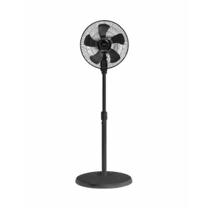 Quạt cây công nghiệp Thái Lan Hatari IP18M1