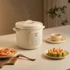 Nồi nấu chậm Joyoung JSC-316 3 lít
