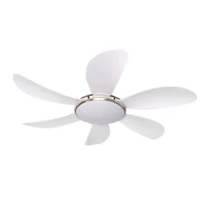 Quạt trần chung cư AIRFUSION AKAMANI 06W