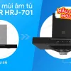 Máy hút mùi âm tủ Junger HRJ-701