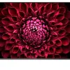 Android Tivi Sharp 4K UHD 70 inch 4T-C70DL1X